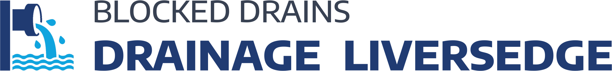 website logo